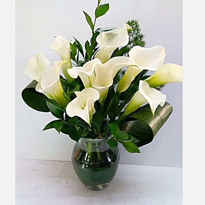 Serene White Calla Lilies Vase canada Gift Serene White Calla Lilies
