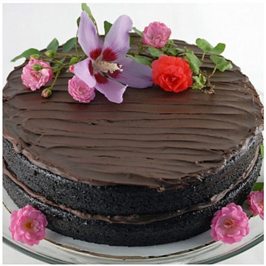 Delicious Double Dark Chocolate Cake