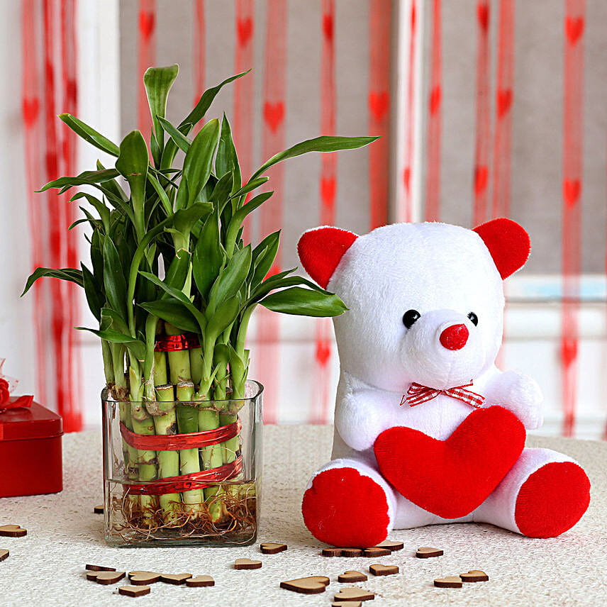 Two Layer Bamboo Plant & Red Heart Teddy Bear Combo