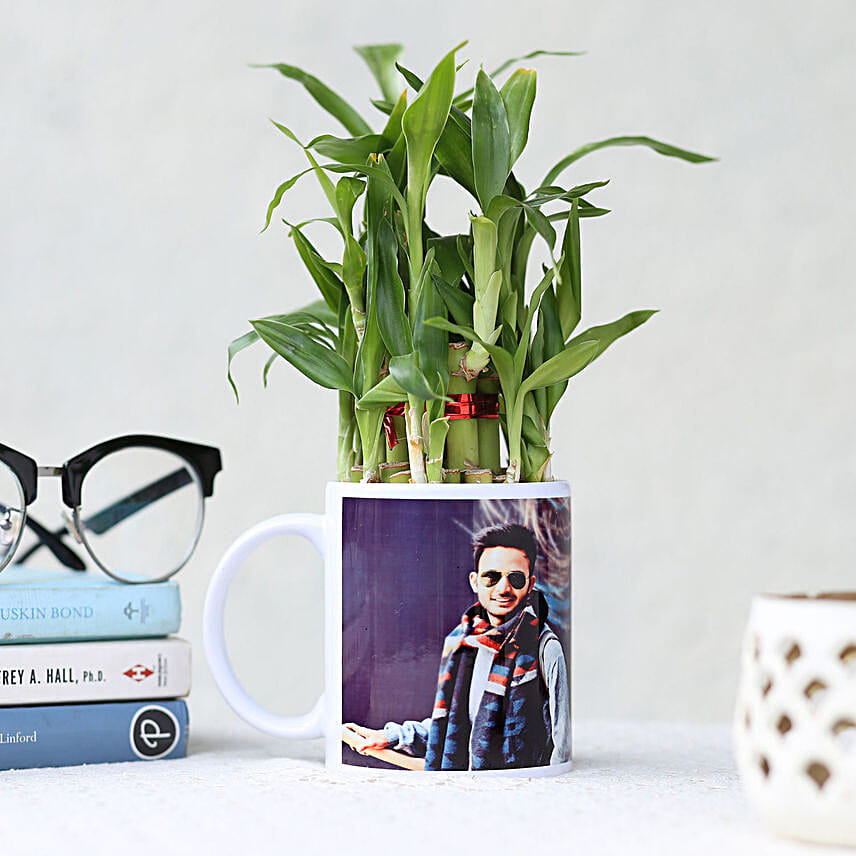 Bamboo Plant in Personalised White Mug