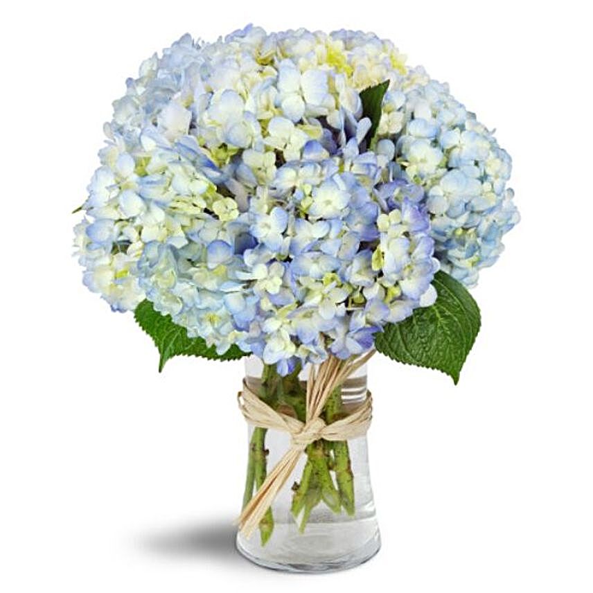 Blue Hydrangea Glass Vase
