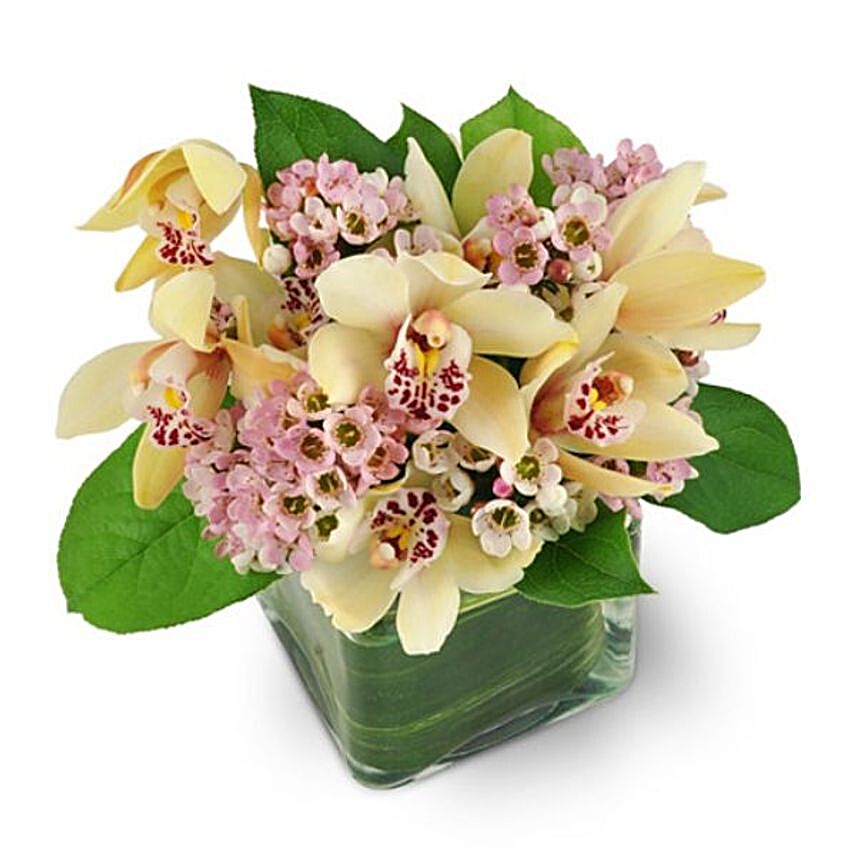 Delicate Delight Vase Arrangement:Gifts for Mother in Canada