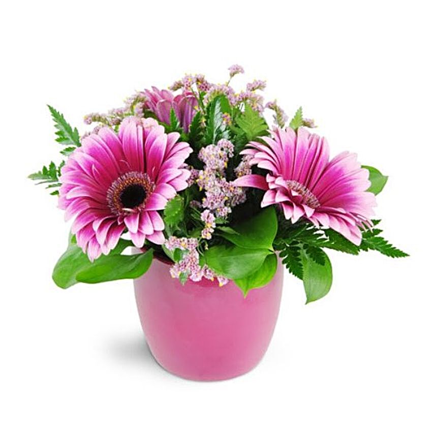 Gerbera Daisies Fuchsia Ceramic Container:Gifts for Mother in Canada