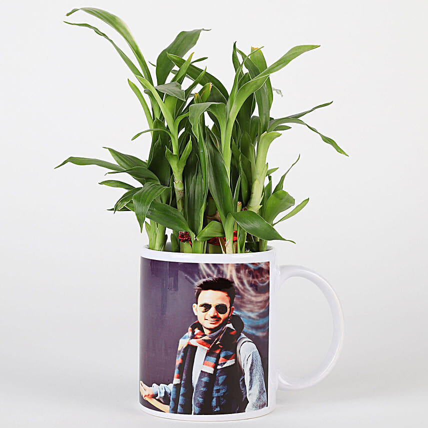 Bamboo Plant in Personalised White Mug