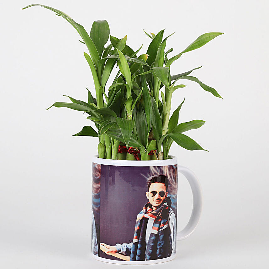 Bamboo Plant in Personalised White Mug