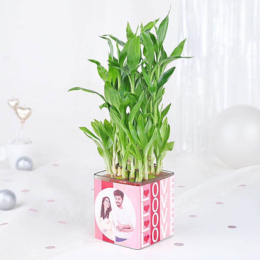 Bamboo Plant Whispers of Love