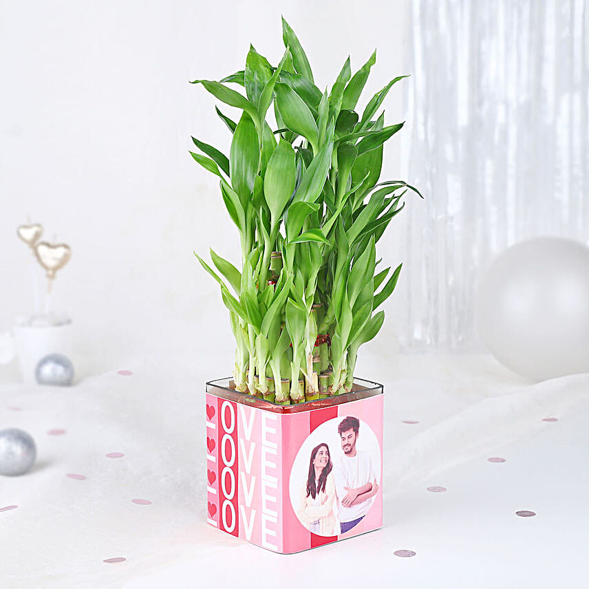 Bamboo Plant Whispers of Love