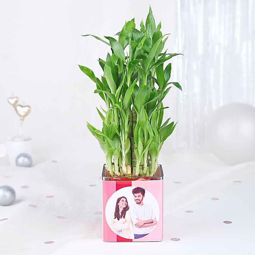 Bamboo Plant Whispers of Love