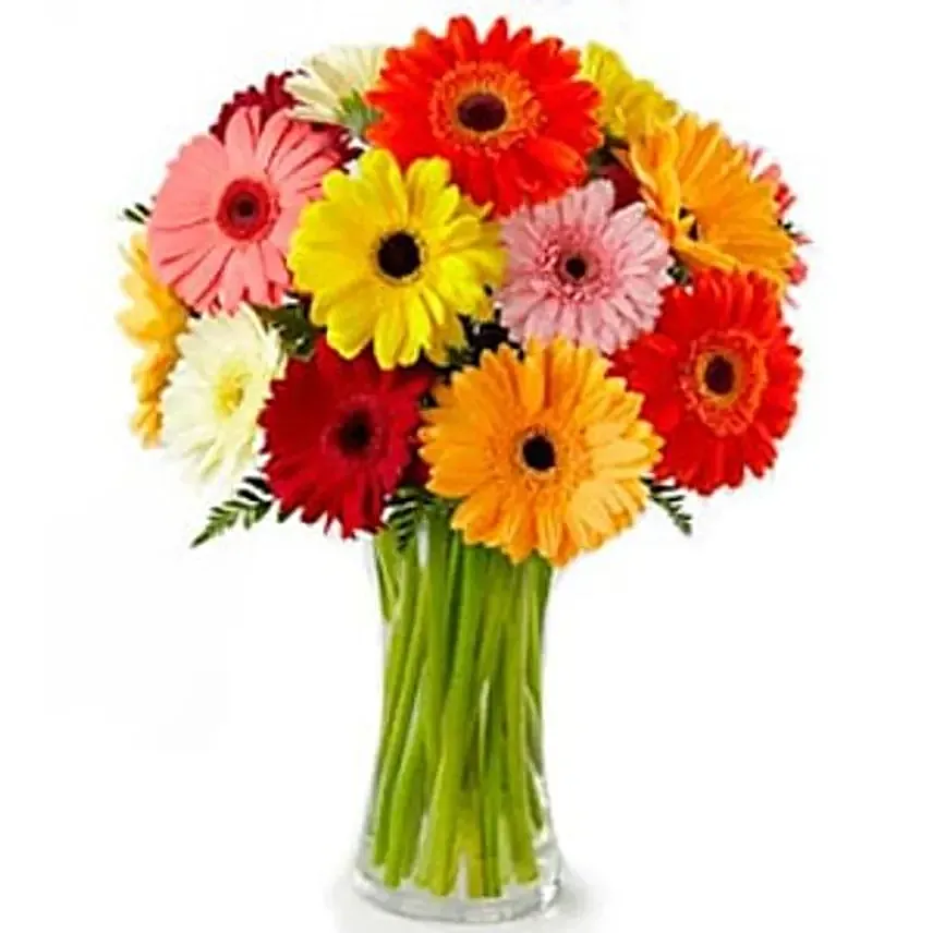 Classic Rainbow Gerbera Bouquet