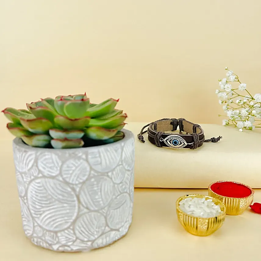 Evil Eye Bracelet Rakhi N Succulent Plant Pot