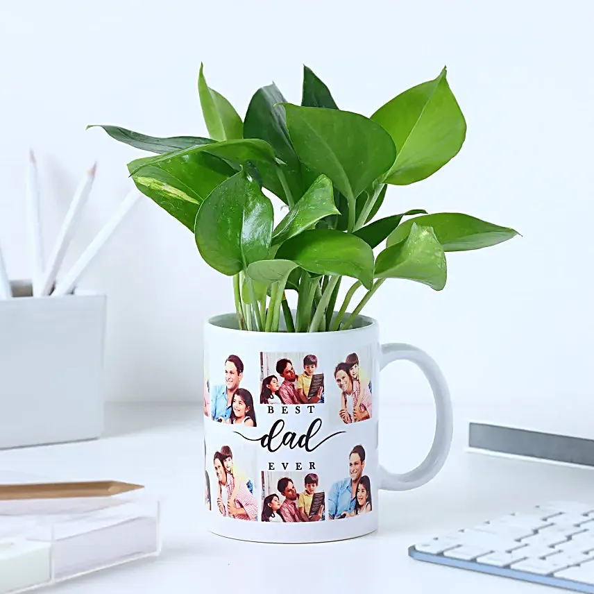 Fathers Day Money Plant Surprise