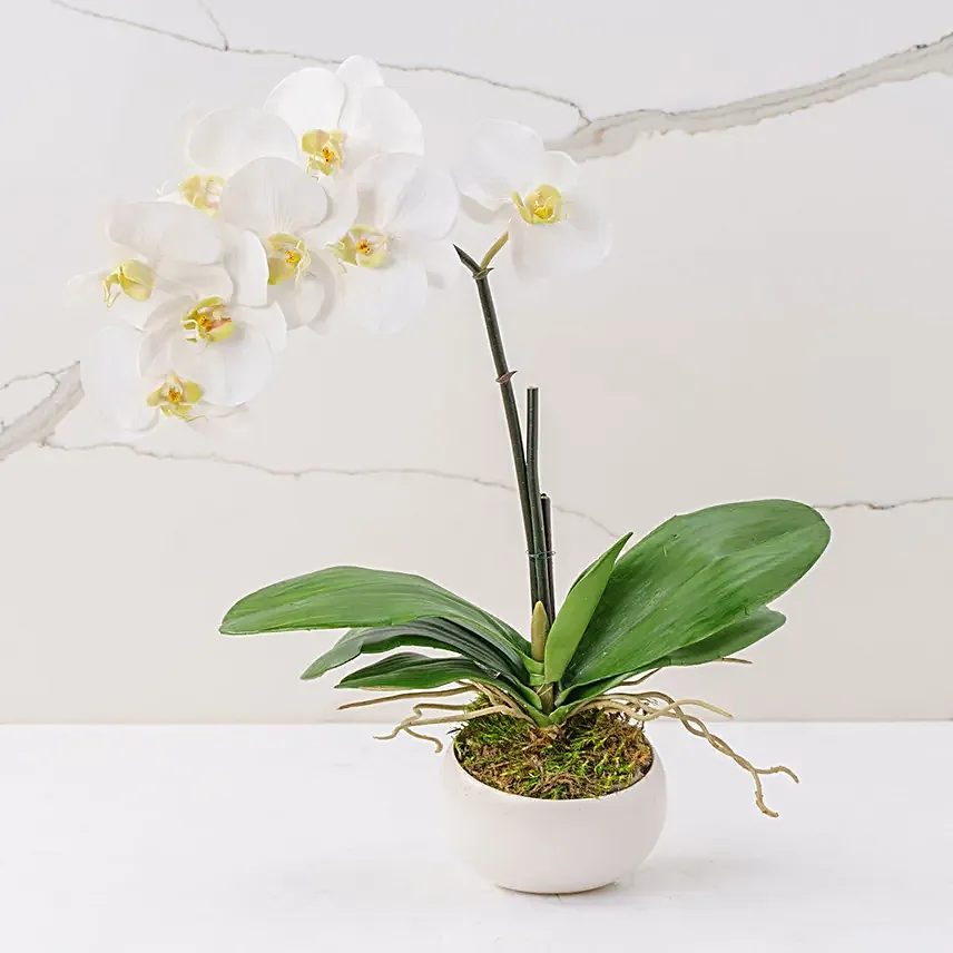 Grace Faux Flowers Arrangement