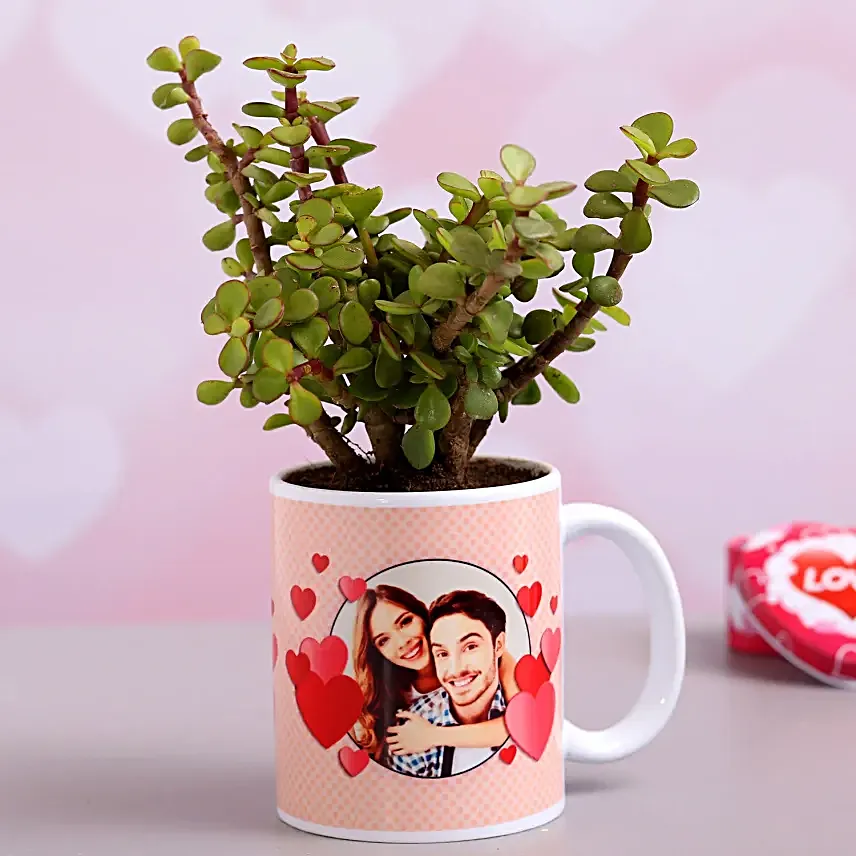 Jade Plant In Personalised Hearts Mug Hand Delivery