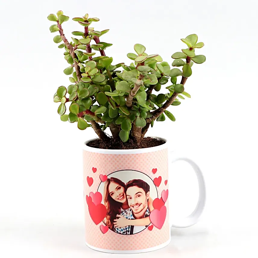 Jade Plant In Personalised Hearts Mug Hand Delivery