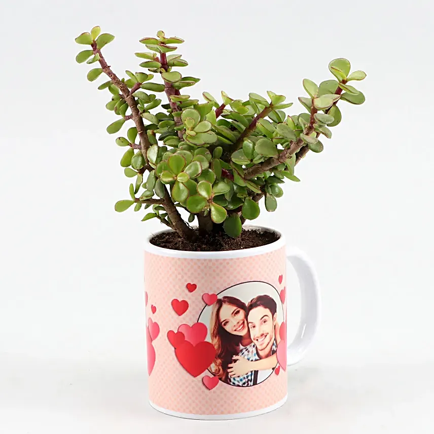 Jade Plant In Personalised Hearts Mug Hand Delivery