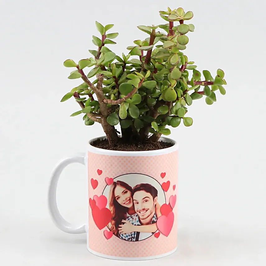 Jade Plant In Personalised Hearts Mug Hand Delivery