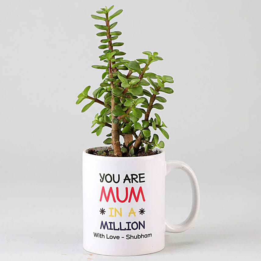 jade plant with printed mug for mom