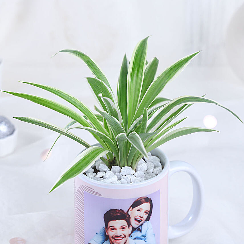Mugful of Love Greens