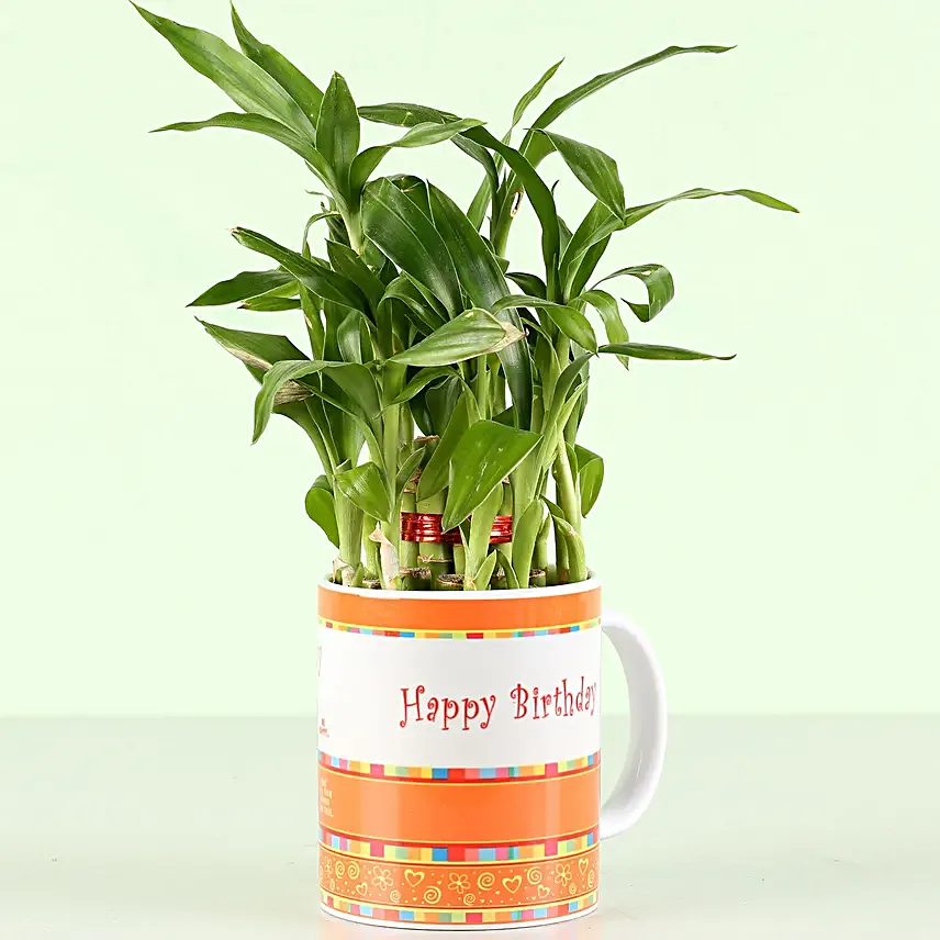Personalised Birthday Wishes Bamboo Plant