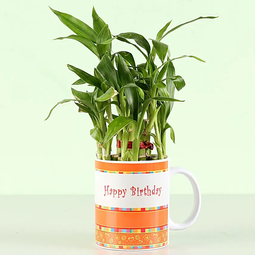 Personalised Birthday Wishes Bamboo Plant