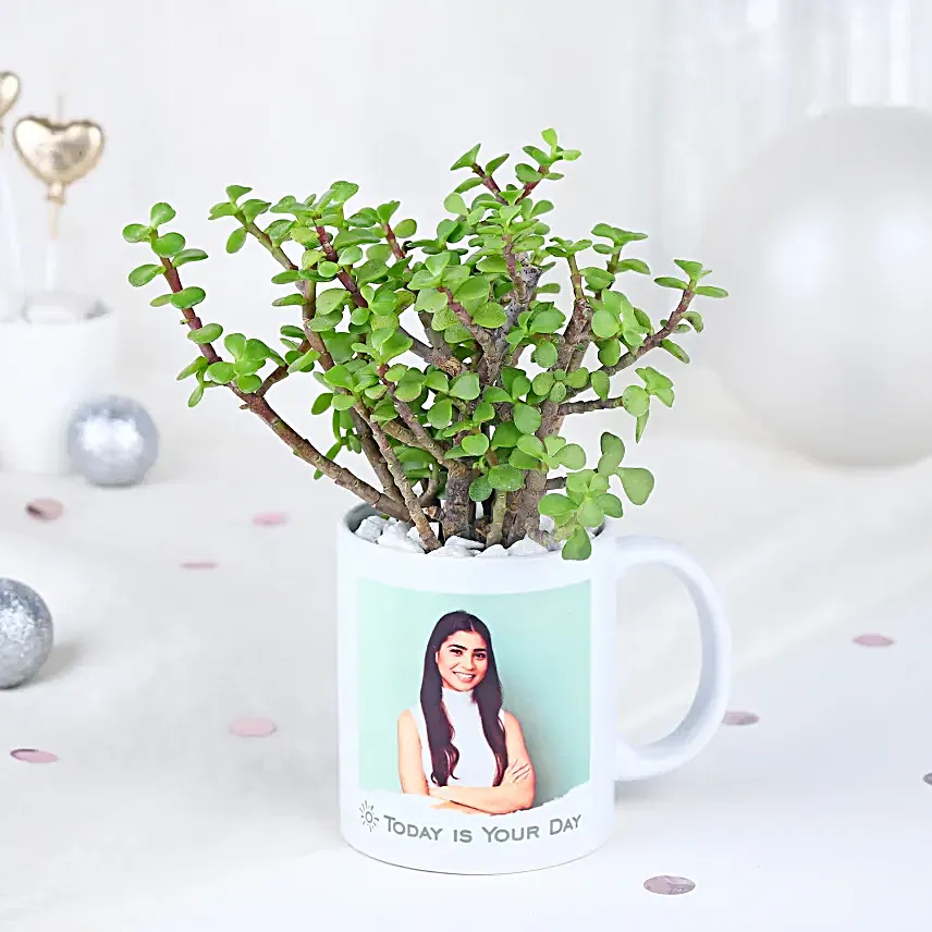 Resilient Jade Affair