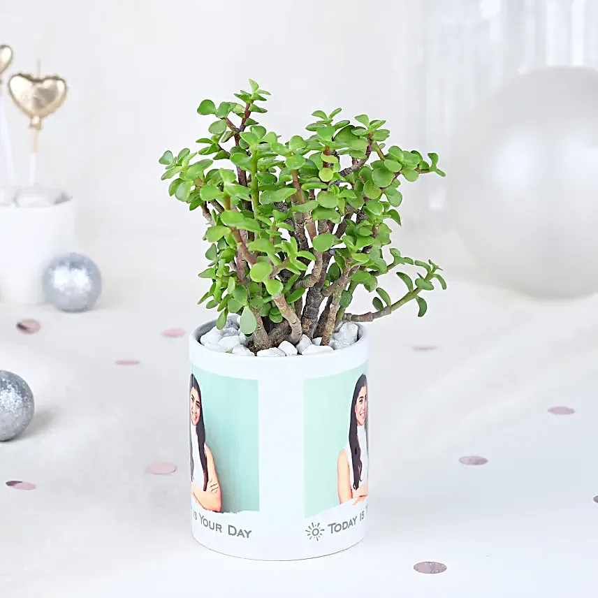 Resilient Jade Affair