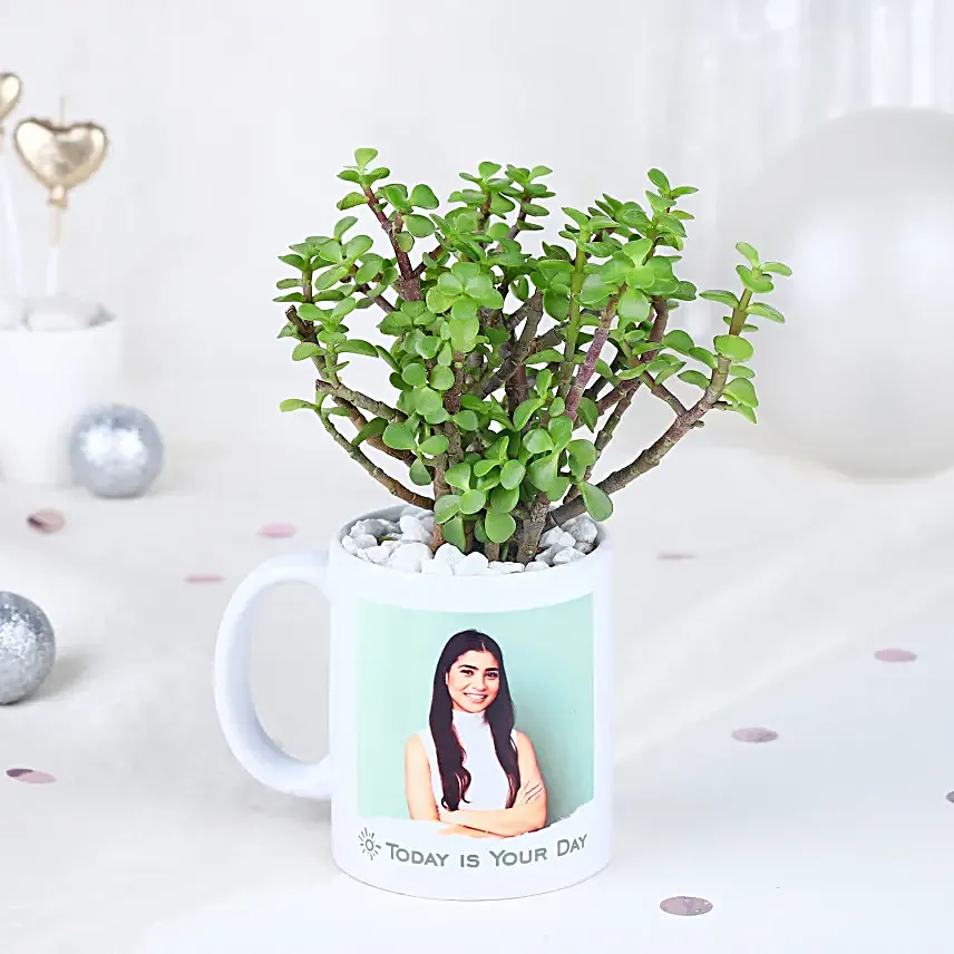 Resilient Jade Affair