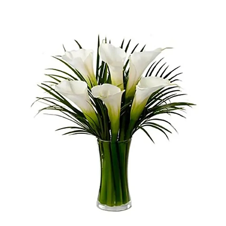 Serene Calla Lilies Vase