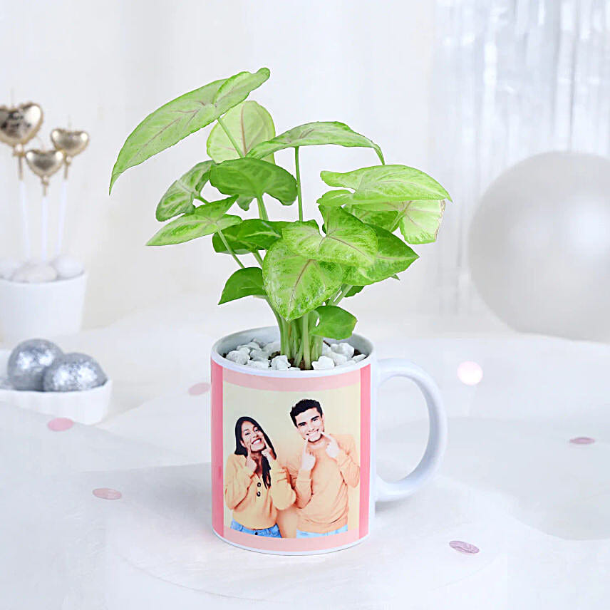 Syngonium Harmony Mug