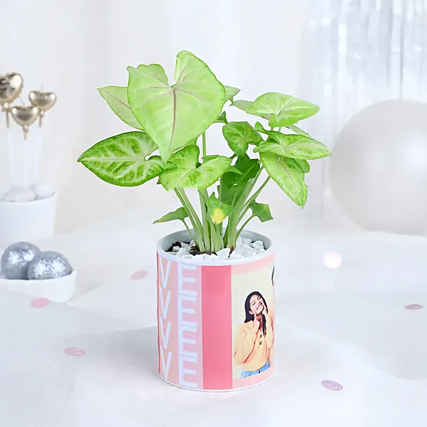 Syngonium Harmony Mug