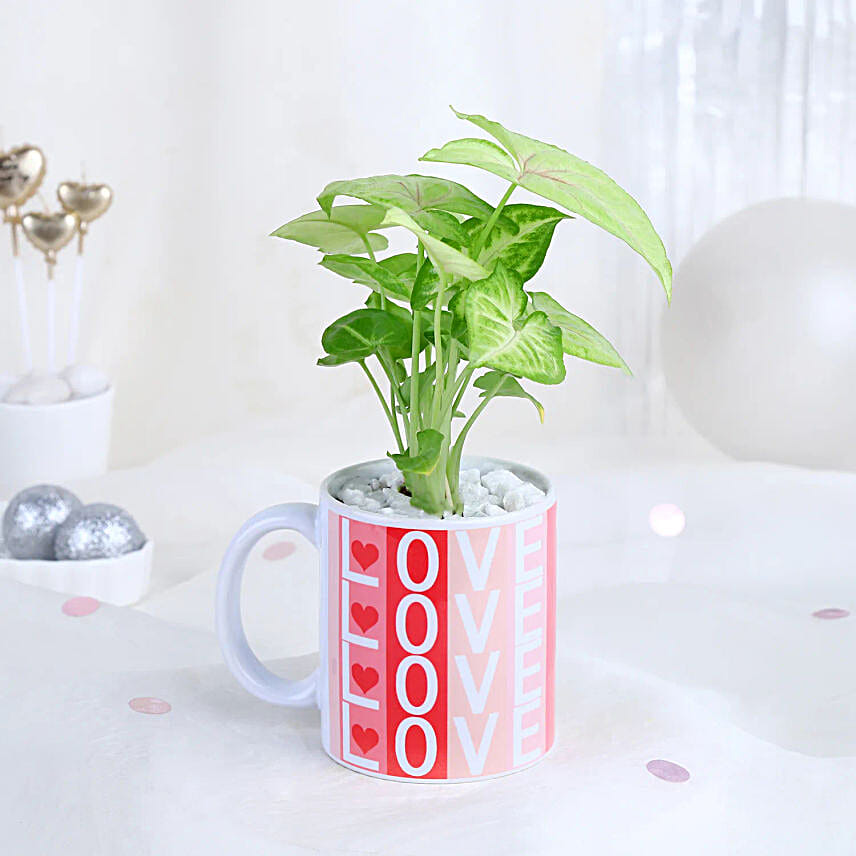 Syngonium Harmony Mug