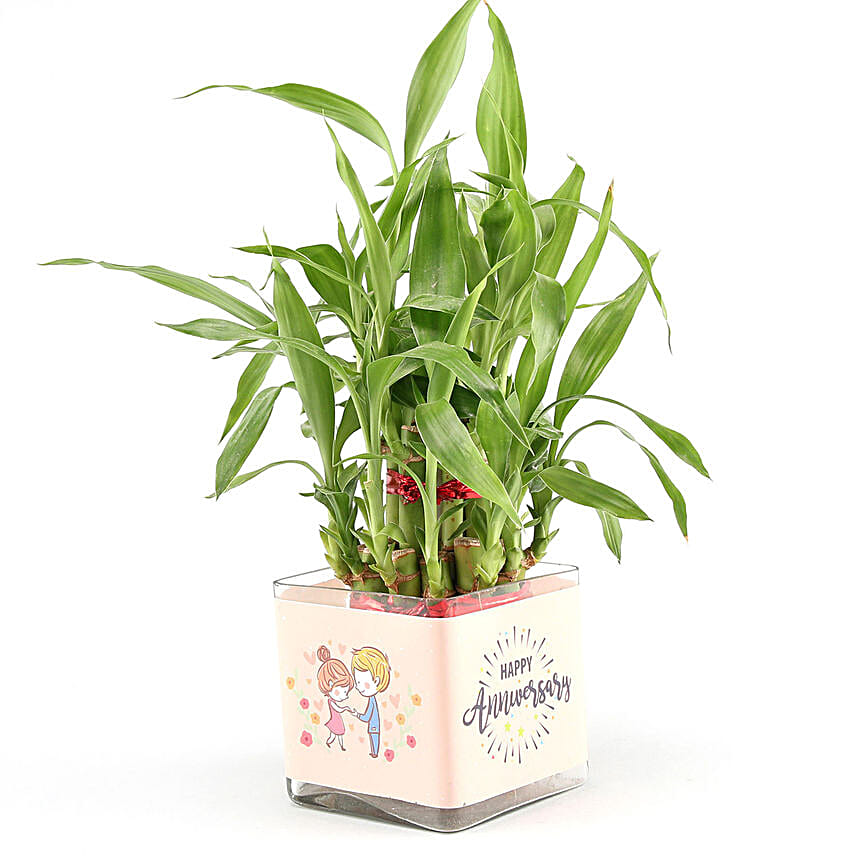 Two Layer Bamboo Plant Anniversary Greetings