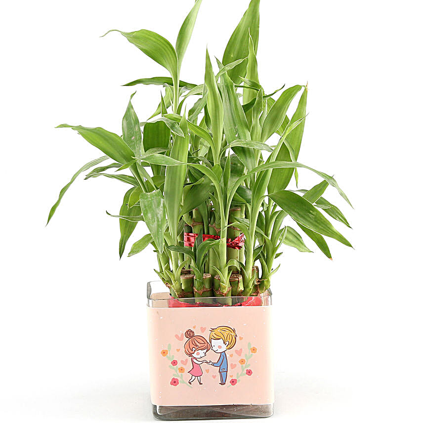 Two Layer Bamboo Plant Anniversary Greetings
