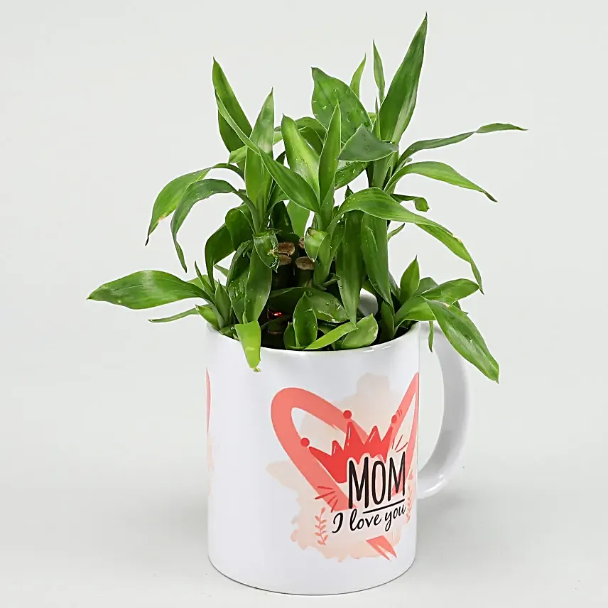 Two Layer Bamboo Plant In I Love You Mom Mug