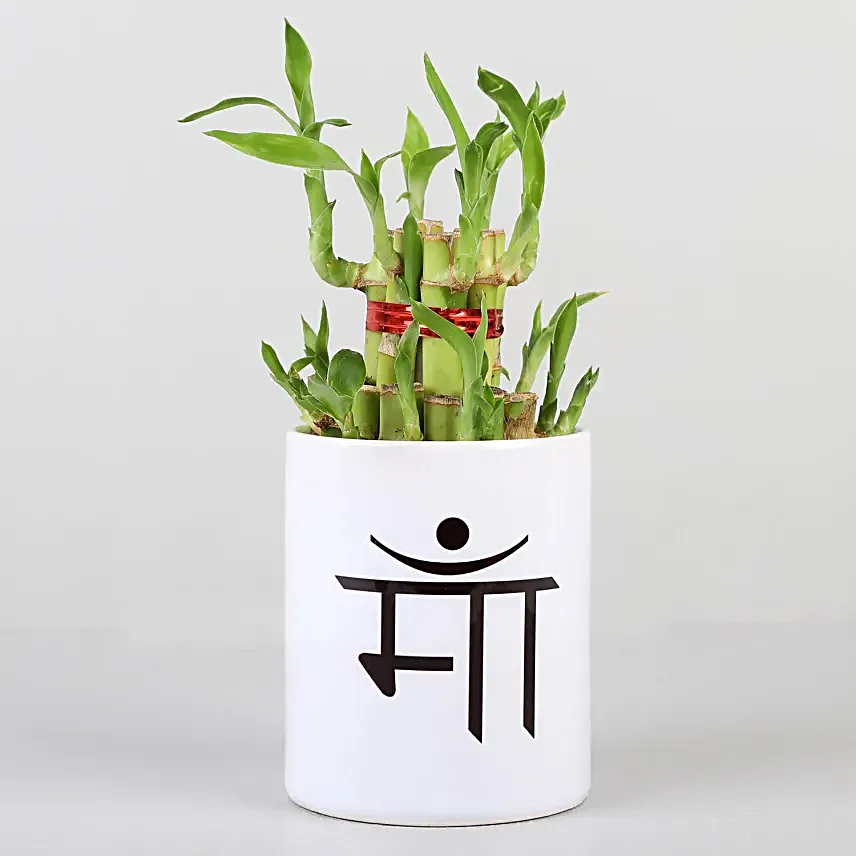 bamboo or printed coffee mug for mothers day