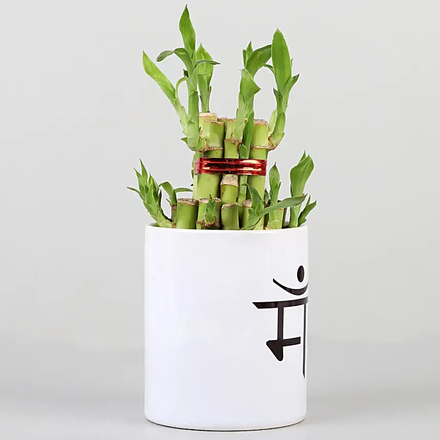 bamboo or printed coffee mug for mothers day