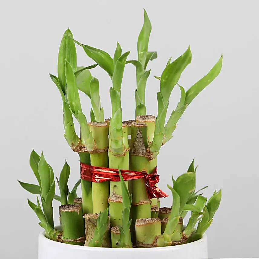 bamboo or printed coffee mug for mothers day