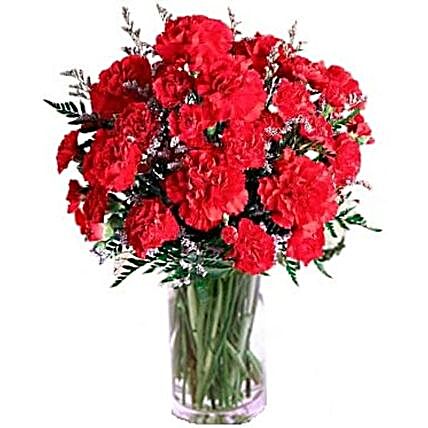 Ravishing Red Carnations Vase:Send Carnation Flower to Canada