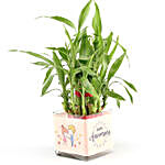 Two Layer Bamboo Plant Anniversary Greetings