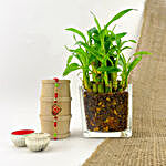 Sneh Om Engraved Rakhi & Bamboo Plant