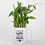 Lucky Bamboo Plant For Mother