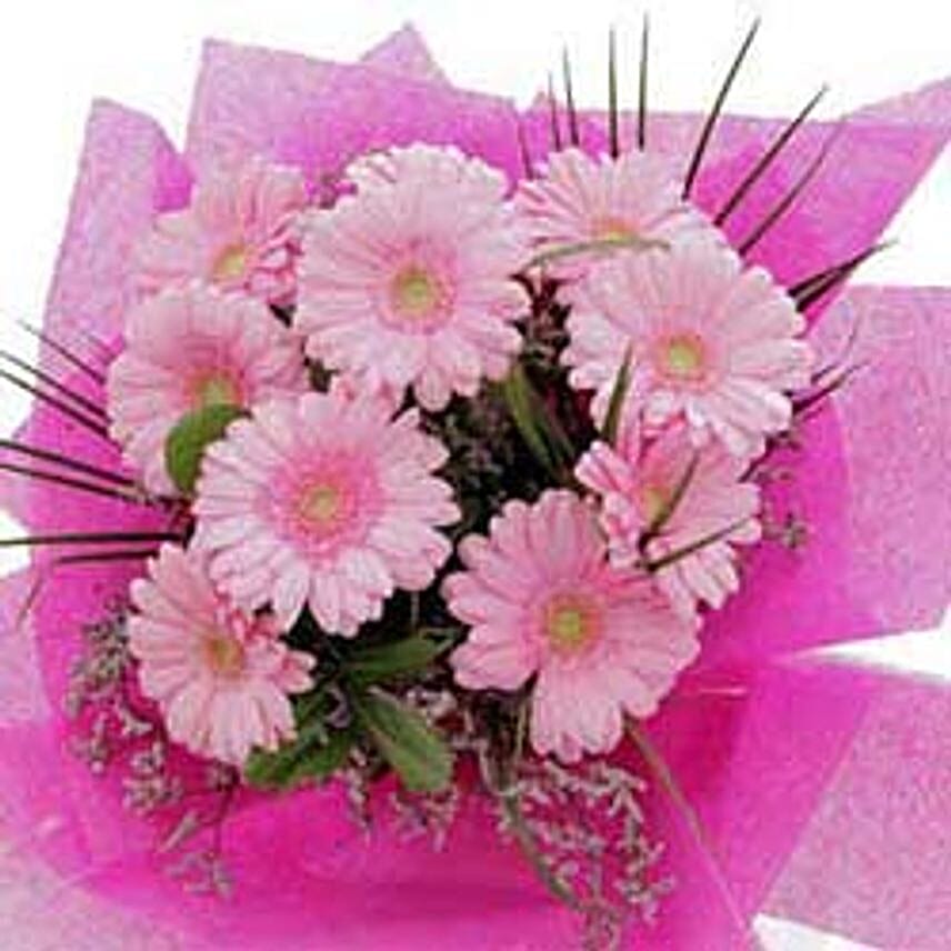 10 pink gerberas-CIN