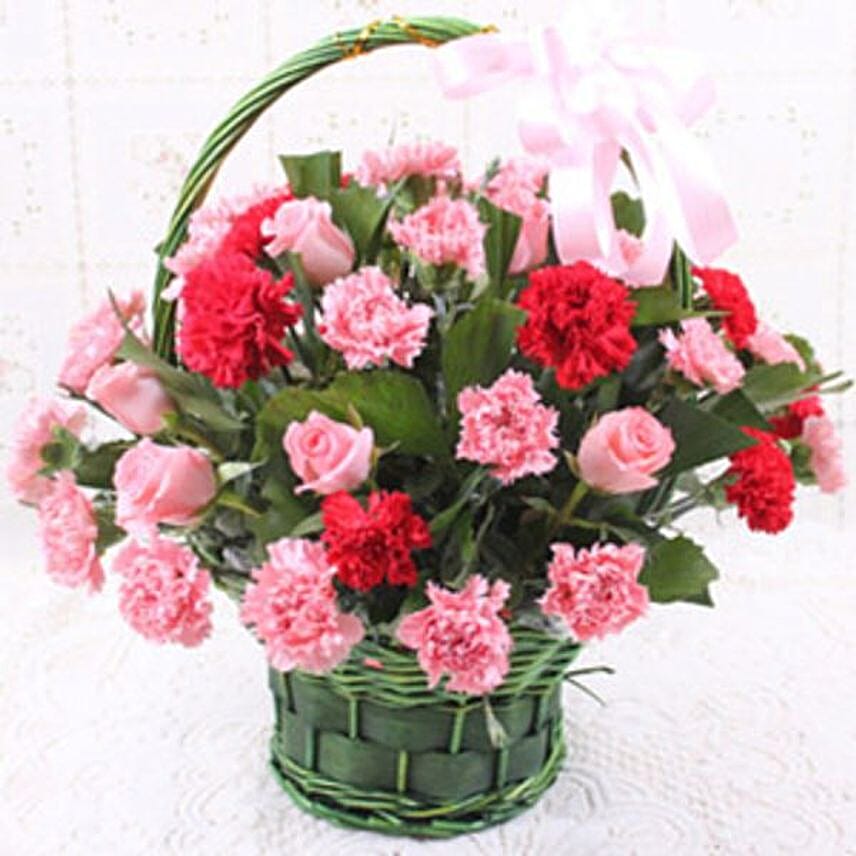 Carnations Love