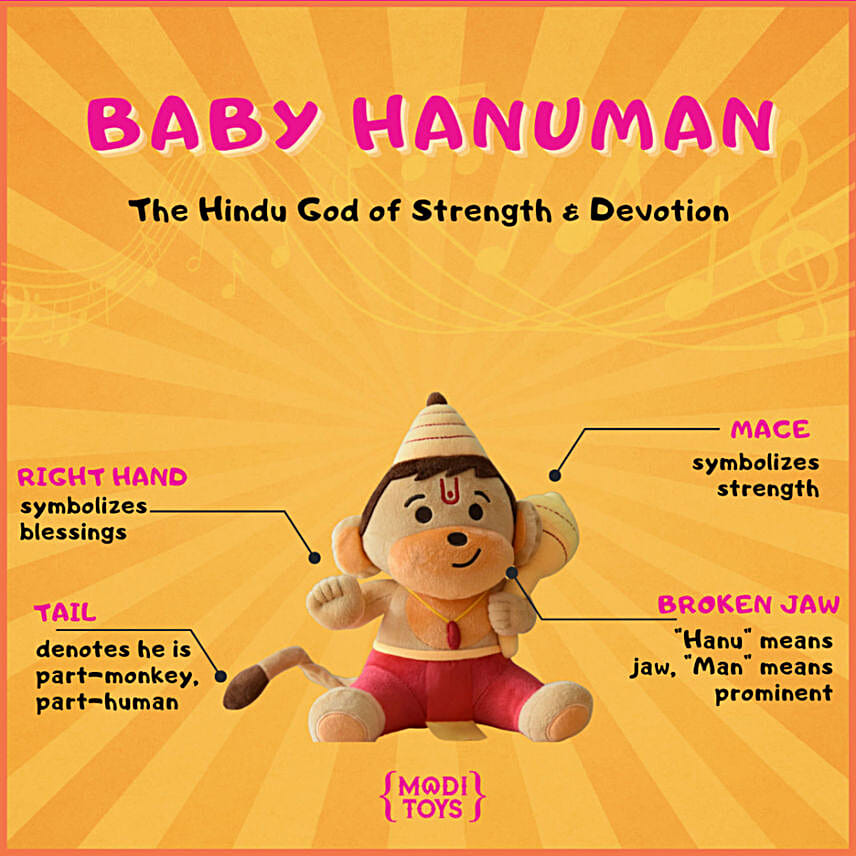 Divine Hanuman Blessings Combo