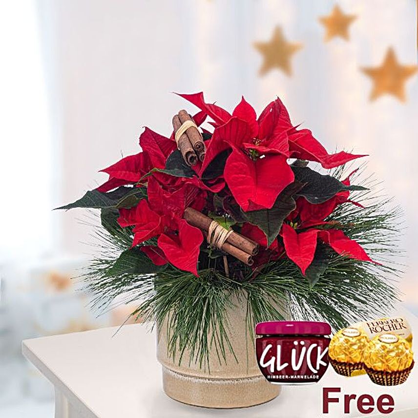 Red Poinsettia With Ferrero Rocher And Jam:Flowers and Chocolates to Germany