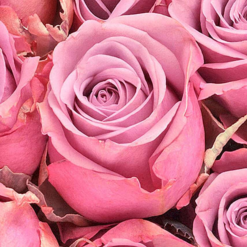 Elegant Pink Roses Bunch With Free Vase
