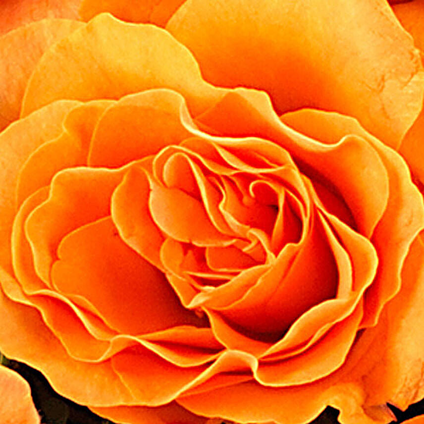 Sunkissed Love Floral Vase