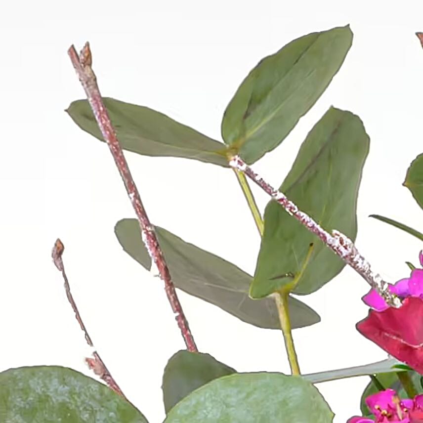 Flower Bouquet Sensation