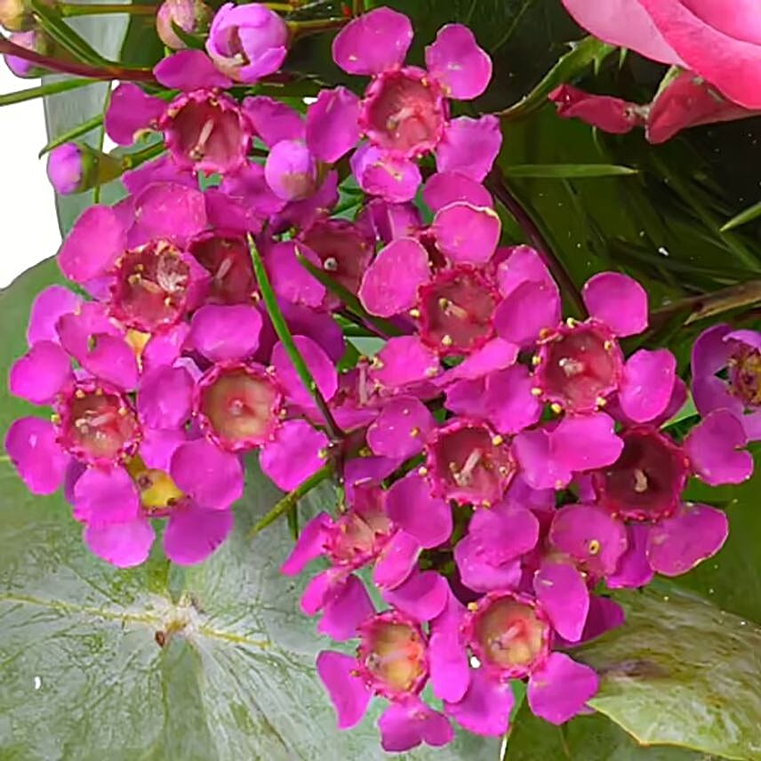 Flower Bouquet Sensation