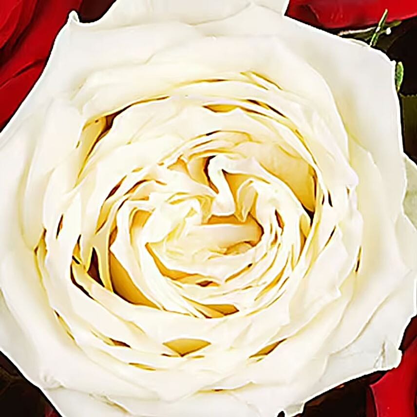 Rose Bouquet Just for you with vase